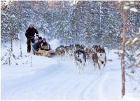 ФОРУМ ЛАПЛАНДИЯ 10.12.2026-15.12.2026